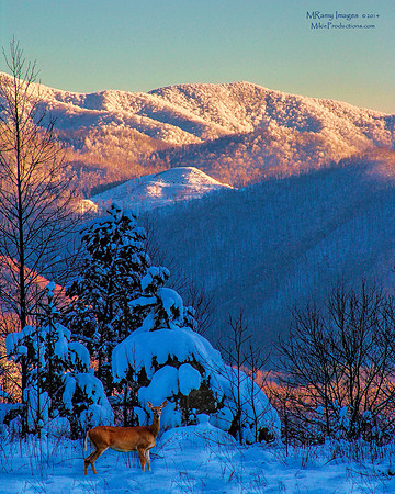 Mountains