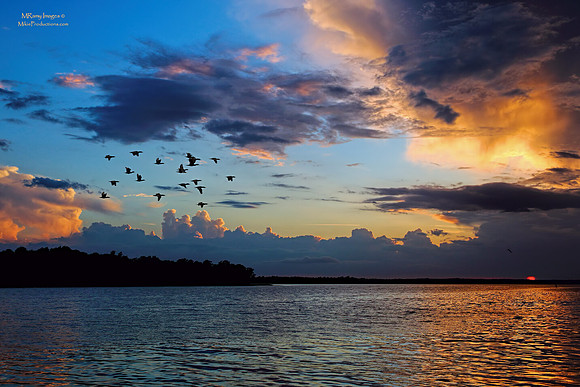 Sunset