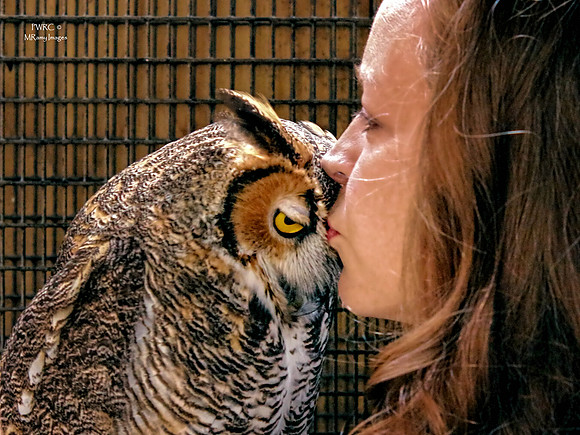 PRWC_owly_kisses