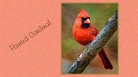 Digital Art, Sweetwater Camera Club, SCC Show & Tell, Douglas County arts Center