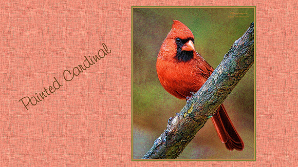 Digital Art, Sweetwater Camera Club, SCC Show & Tell, Douglas County arts Center