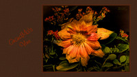 Digital Art, Sweetwater Camera Club, SCC Show & Tell, Douglas County arts Center