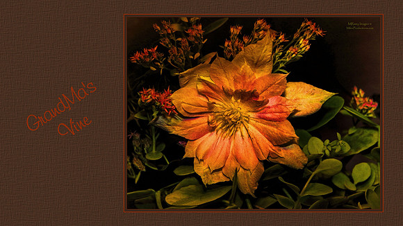 Digital Art, Sweetwater Camera Club, SCC Show & Tell, Douglas County arts Center