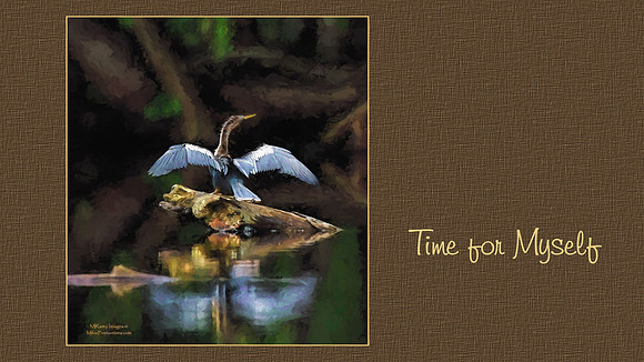 Digital Art, Sweetwater Camera Club, SCC Show & Tell, Douglas County arts Center
