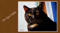 Digital Art, Sweetwater Camera Club, SCC Show & Tell, Douglas County arts Center