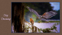Digital Art, Sweetwater Camera Club, SCC Show & Tell, Douglas County arts Center