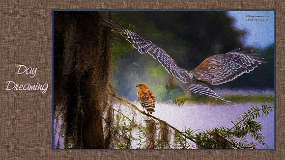 Digital Art, Sweetwater Camera Club, SCC Show & Tell, Douglas County arts Center