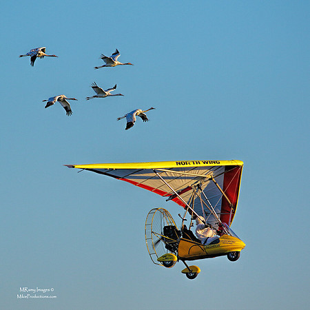 RAMY_0224_CF70