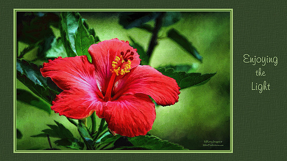 Digital Art, Sweetwater Camera Club, SCC Show & Tell, Douglas County arts Center