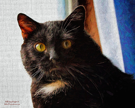 Photo Art