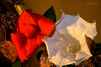 Devil's Trumpet