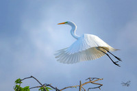 RAMY2912_CFast-2_RW