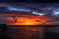 Ramy_8455_CF76_3
