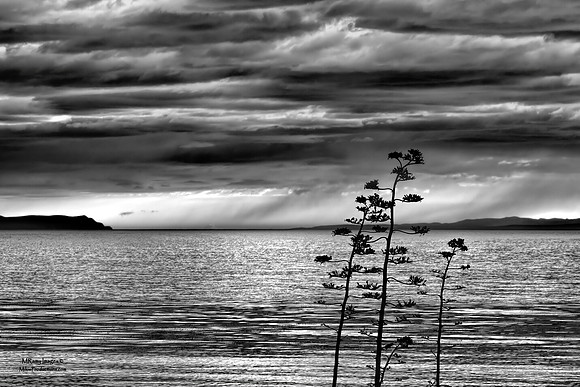 Santa Barbara, California Coast, UCSB