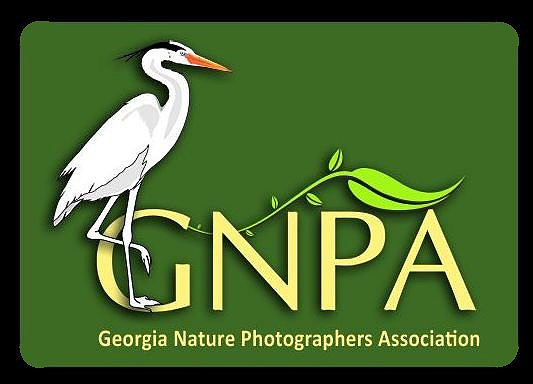 GNPA Logo_4