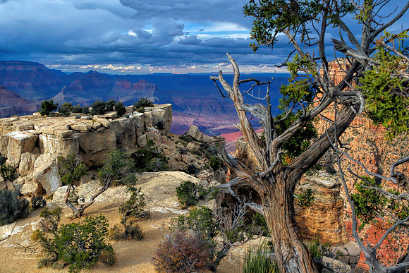 Grand Canyon National Recreation Area East Rim, Arizona