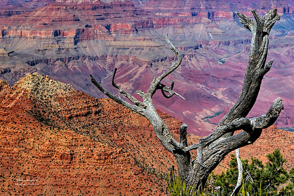 Grand Canyon National Recreation Area East Rim, Arizona