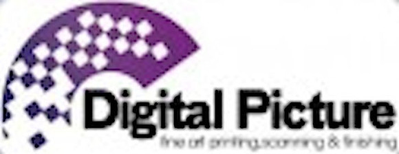 Digital Picture Logo