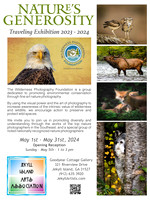 WPF NG-Poster- per Gallery
