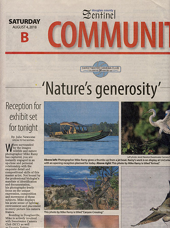 Sentinal Article