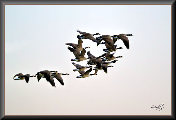 RAMY4875_CFast-1