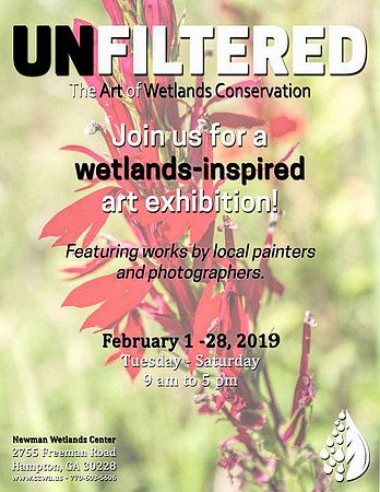 Newman Wetland Center 2019