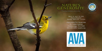 AVA Facebook flyer