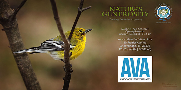 AVA Facebook flyer