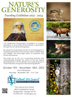 WPF NG-Poster- CAC
