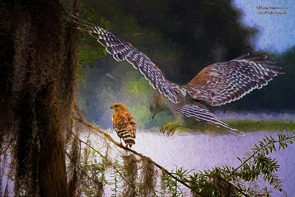 Photo Art