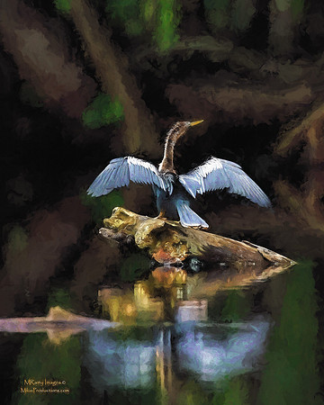 Digital Art