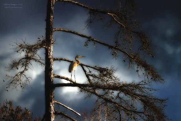 Photo Art