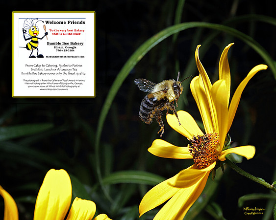Bumble Bee Bakery