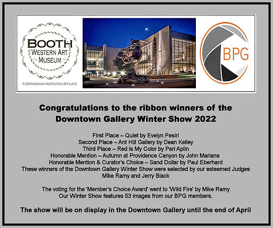 BPG 2022 Winter Show