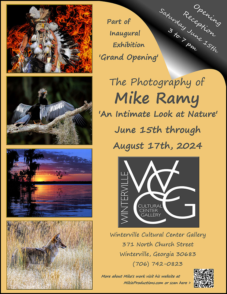 Solo Exhibition Winterville 2024 - 2