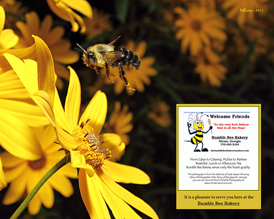 Bumble Bee Bakery