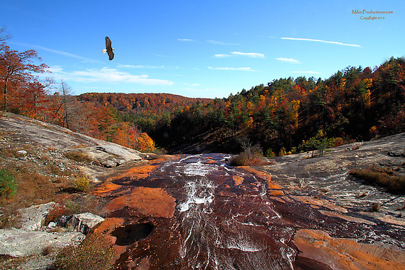 Fall Colors