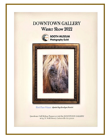 2022 DG-BPG Show Flipbook Cover