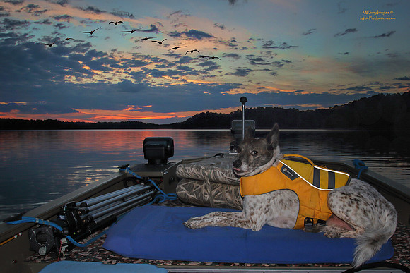 Lake Wedowee, Alabama - Sunset